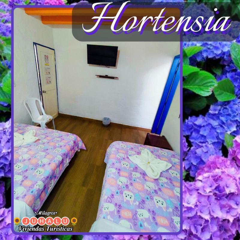 ᒍᑌᕼᗩᒪᑌ Hotel Jericoc  Kamer foto
